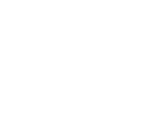 The Cable Experts